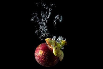 mangosteen dropped into water with splash isolated on black