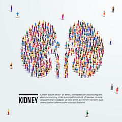 Kidney concept. Large group of people form to kidneys. Vector illustration.