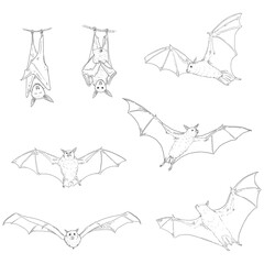 Vector Set of Black Sketch Bats.