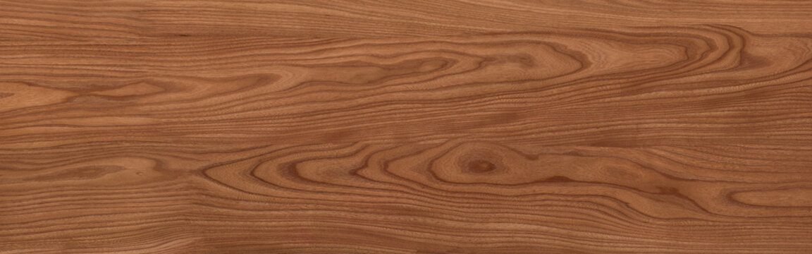 Wood texture background.Natural wood pattern. texture of wood