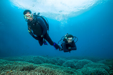 Two divers swim over hard coral garden.