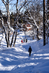 People follow each other through the winter forest along a path, snow around. There is deep snow everywhere, adults and children are walking along the path. Walk through the frosty winter forest