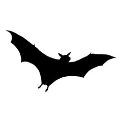 Vector Black Silhouette of Bat