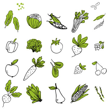 Set of hand drawn vegetable and fruit icons