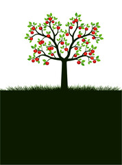 Shape of Apple Tree with leaves. Vector outline Illustration. Plant in Garden.
