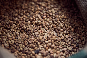 Roasted coffee beans stored in burlap sack
