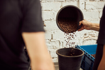 Fototapeta na wymiar Young man pouring coffee beans into bucket