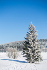 Winter landscape in dolnoslaskie region, Poland