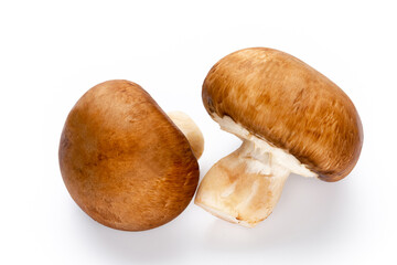 Fresh champignon mushrooms isolated on white.