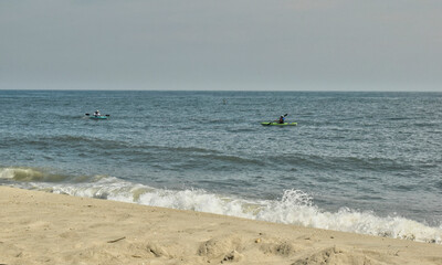 Fototapeta na wymiar Kayakers watching a seagull off the beach in Cape May, NJ