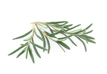Fototapeta premium Rosemary isolated on white background