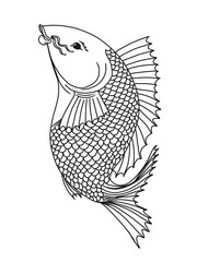 hand drawn illustration of a fish.