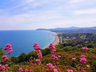 view of Killiney Bay