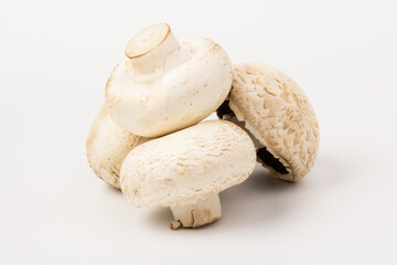 Fresh Champignon mushroom, isolated on white background. Close-up