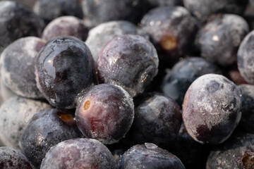 Blueberries from organic frozen cultivation and ready to be consumed