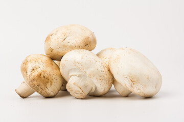 Fresh Champignon mushroom, isolated on white background. Close-up