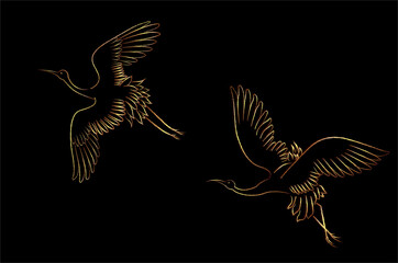 Couple Eastern sarus crane Birds flying over the sky