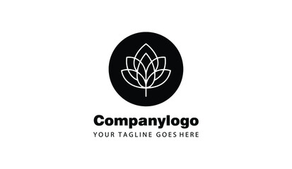 Leaf for simple logo design. Leaf vector template