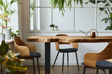 Stylish and botany interior of dining room with design craft wooden table, chairs, a lof of plants,...