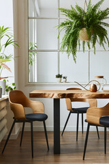 Stylish and botany interior of dining room with design craft wooden table, chairs, a lof of plants, window, poster map and elegant accessories in modern home decor. Template.