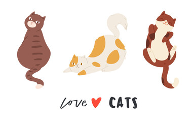 Vector illustration of cute funny cats sitting, playing, lying, stretching. Collection of adorable pretty purebred pet animals hand drawn in cartoon style on white background