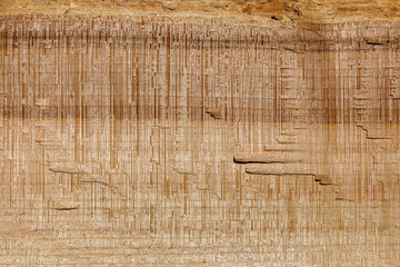 Wood texture