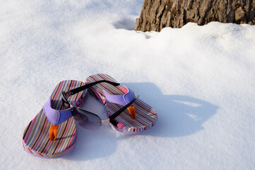 Sunglasses and beach flip flops on snow in winter with tree trunk