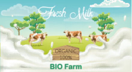 Three cows with brown spots looking at camera on a meadow with trees. Splashing fresh milk from bio farm