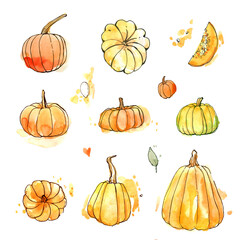 Pumpkins harvest autumn season orange spot line sketch watercolor isolated set leaf spot blot seed round slice