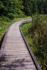 Obraz premium boardwalk section of Appalachian Trail in New Jersey