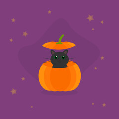 Fototapeta premium This is an illustration of a cat in a pumpkin on a purple background. Flat style. Could be used for flyers, postcards, banners, holidays, etc.