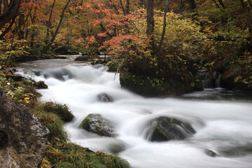Fototapeta na wymiar Beautiful Autumn landscape at Oirase Gorge, Aomori, Japan, Asia, Long Exposure