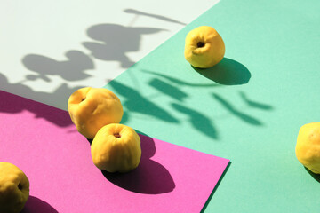 Autumn ripe yellow quince fruits on pink and mint green layered paper. Minimal style, Fall background, isometric view with shadows from the fruits and eucalyptus twig.
