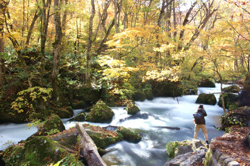 Beautiful Autumn landscape at Oirase Gorge, Aomori, Japan, Asia, Long Exposure