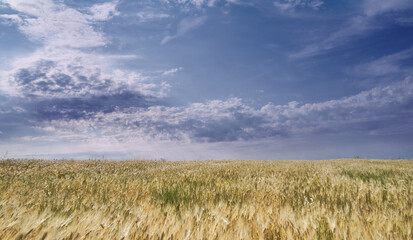 Los prados de cajitan