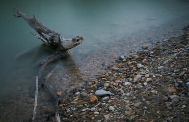 Al son de las aguas.