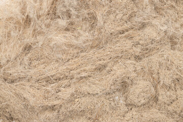 Pile of garbage dust from the vacuum cleaner. Macro shot. Selective focus.