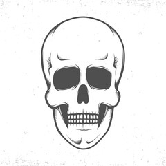  Anatomic skull, monochrome illustration on white background.Isolated.Grunge texture.Vector art.