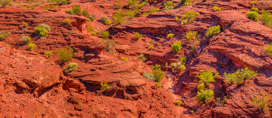 Talampaya National Park, La Rioja, Argentina