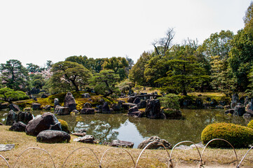 池の周りに木が植えられている日本庭園