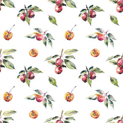 Small red apples seamless. Pattern from chines apples. Food drawings. White background. Watercolor hand drawn illustration.