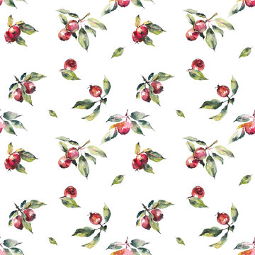 Small Red Apples Seamless. Pattern From Chines Apples. Food Drawings. White Background. Watercolor Hand Drawn Illustration.