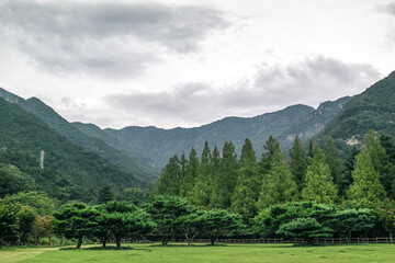 Fototapeta na wymiar The summer scenery of Geumosan Mountain, a landmark of Gumi City, South Korea