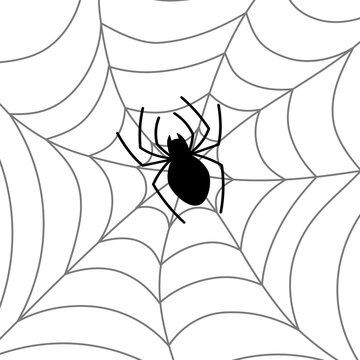Spider web with spider. Clipart image