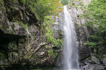 Fototapeta na wymiar Beautiful view of Daehye waterfall, located on Geumosan Mountain, Gumi City, South Korea