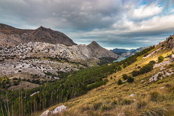 Fototapeta premium Landscape of a valley surrounded by the peak of “Puig Major” and the mountains of the “Serra de Tramuntana” on the island of Mallorca. Unesco world heritage site in Spain, Europe.