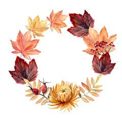 Watercolor hand painted autumn wreath with autumn leaves and berries and chrysanthemum flower. Delicate arrangement is perfect for thanksgiving greeting cards or autumn wedding or party invitations.
