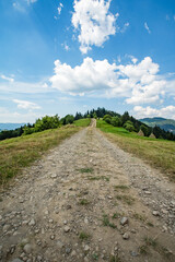 old road that goes along the mountain ridge into the woods. blue sky with white clouds.