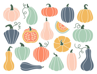Set of hand drawn pumpkin of various shapes and pastel colors. Flat pumpkins and squash. Vector elements for thanksgiving, harvest and halloween. - obrazy, fototapety, plakaty