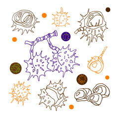 Set with chestnuts on color background. Flat style. Vector illustration.
Illustration for wrapping paper, post cards, prints for clothes, and emblems.